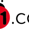n11